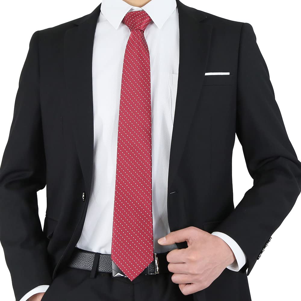 WeiShang Lot 6 PCS Classic Men's Silk Tie Necktie Woven JACQUARD Neck Ties