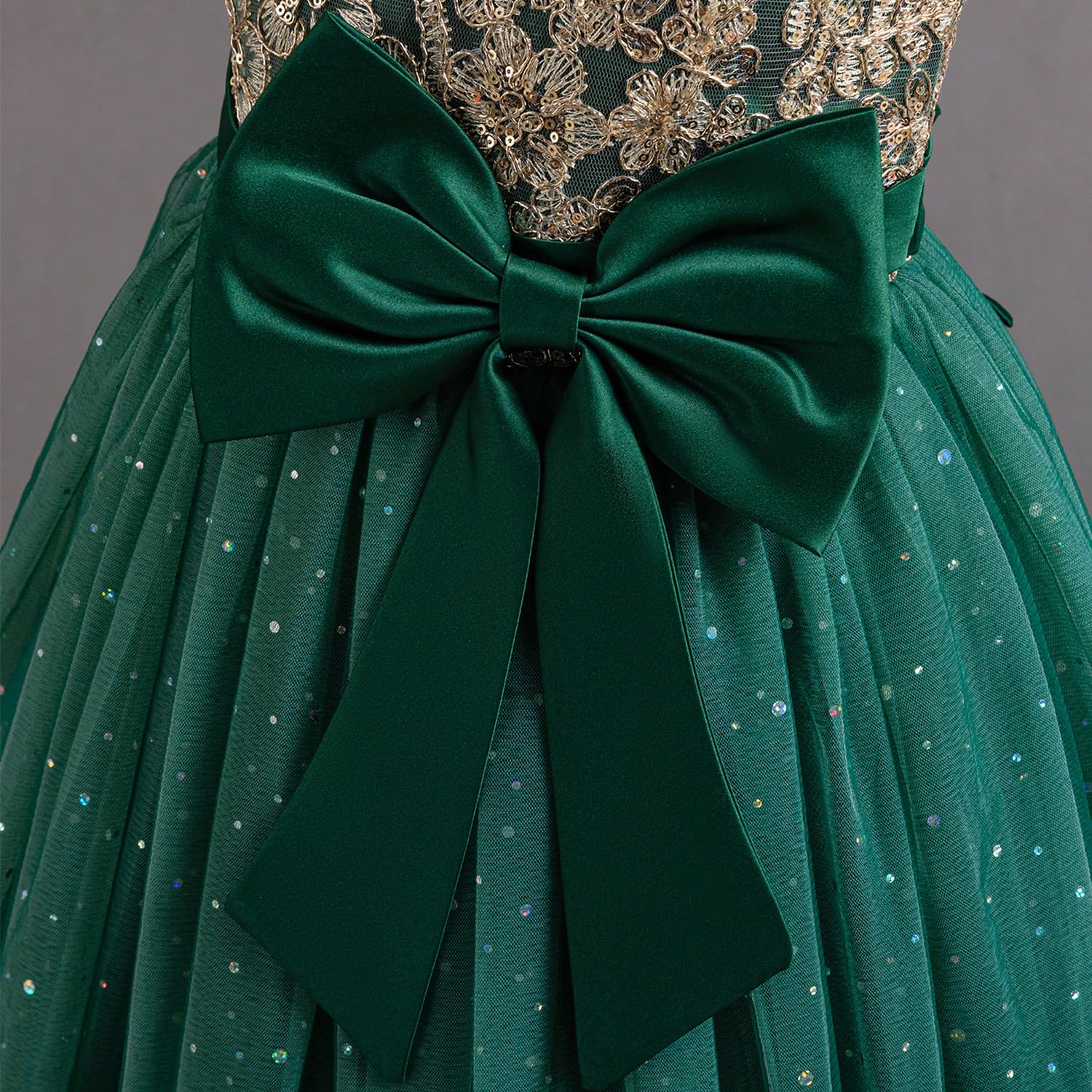 TTYAOVO Girls Pageant Princess Flower Dress Kids Prom Puffy Ball Gowns